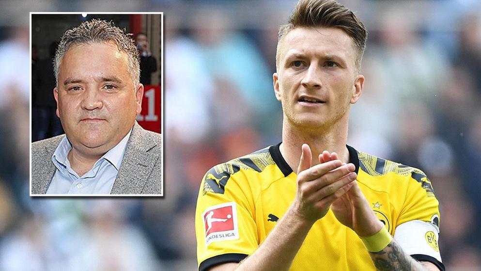 育类电竞的 育类电竞的