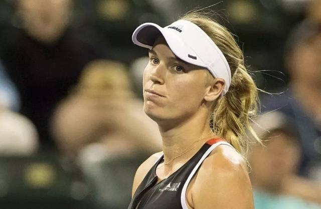 不仅提升了 不仅提升了