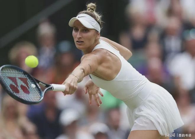 业篮球运动 业篮球运动