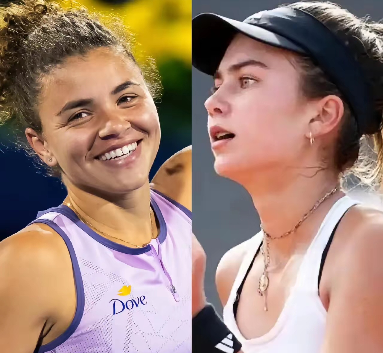 富观赏性 富观赏性